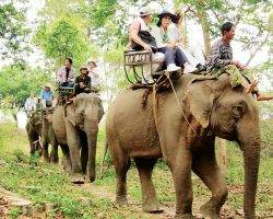 TÂY NGUYÊN ĐẠI NGÀN - NGÃ 3 ĐÔNG DƯƠNG