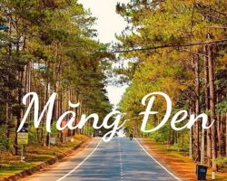 KHÁM PHÁ TÂY NGUYÊN ĐẠI NGÀN 4 NGÀY 3 ĐÊM