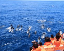 ẤN ĐỘ DƯƠNG: THIÊN ĐƯỜNG BIỂN MALDIVES