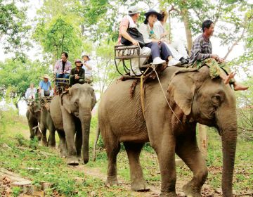 TÂY NGUYÊN ĐẠI NGÀN - NGÃ 3 ĐÔNG DƯƠNG