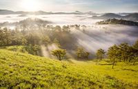 Khám phá mùa thu dịu ngọt ở xứ sở ngàn hoa Đà Lạt