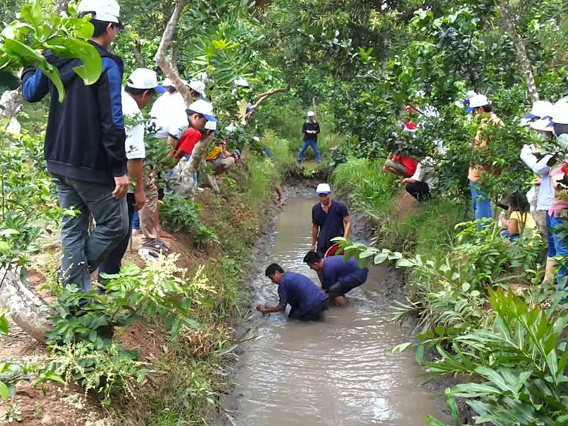 Mỹ Tho Đại Phố, Tiền Giang – Bến Tre